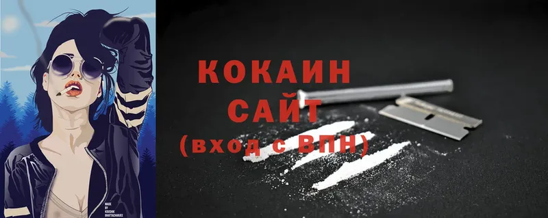 закладка  Верхняя Пышма  Cocaine Fish Scale 